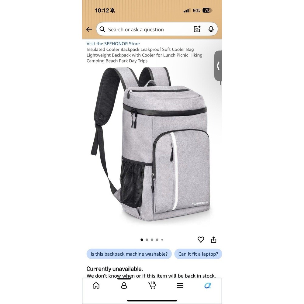 Seehonor Insulated Cooler Bag Grey Backpack Park Beach 25L